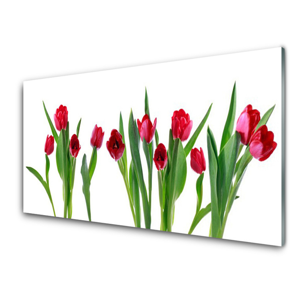 Glasbild Tulpaner Blommor Plant