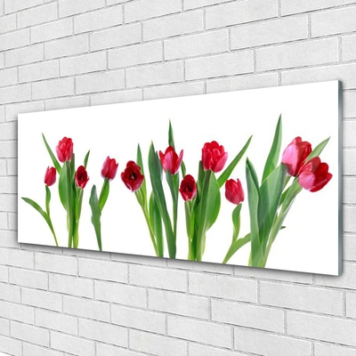 Glasbild Tulpaner Blommor Plant