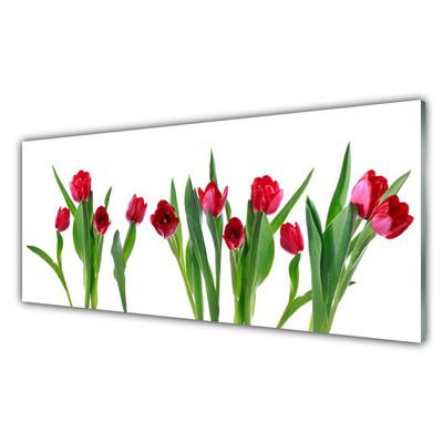 Glasbild Tulpaner Blommor Plant