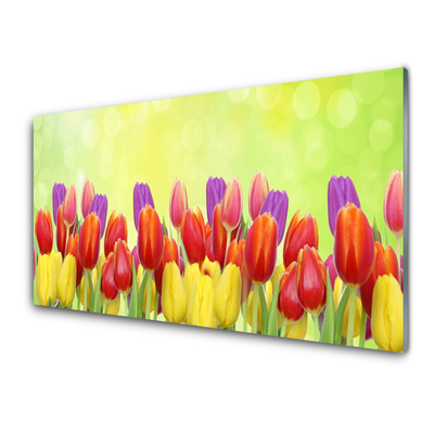 Glas bild Tulpaner Blommor Plant