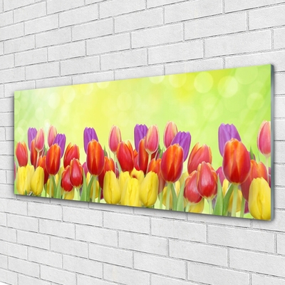 Glas bild Tulpaner Blommor Plant