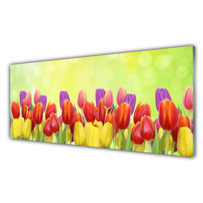 Glas bild Tulpaner Blommor Plant