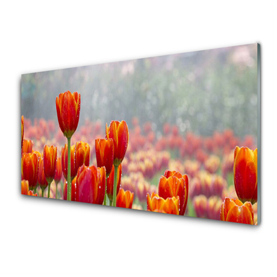 Glas bild Tulpaner Blommor Plant