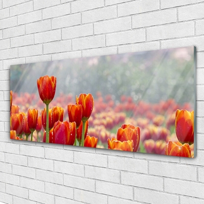 Glas bild Tulpaner Blommor Plant