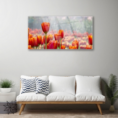 Glas bild Tulpaner Blommor Plant