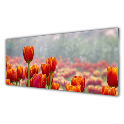 Glas bild Tulpaner Blommor Plant