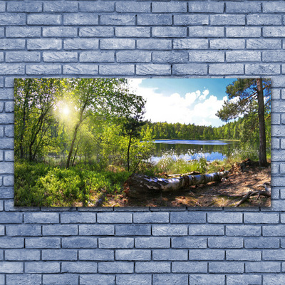 Glas bild Skogsträd Sjön Natur