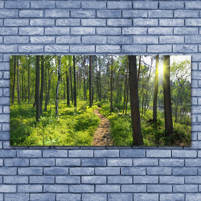 Skriv ut på glas Skogsstigen Naturen