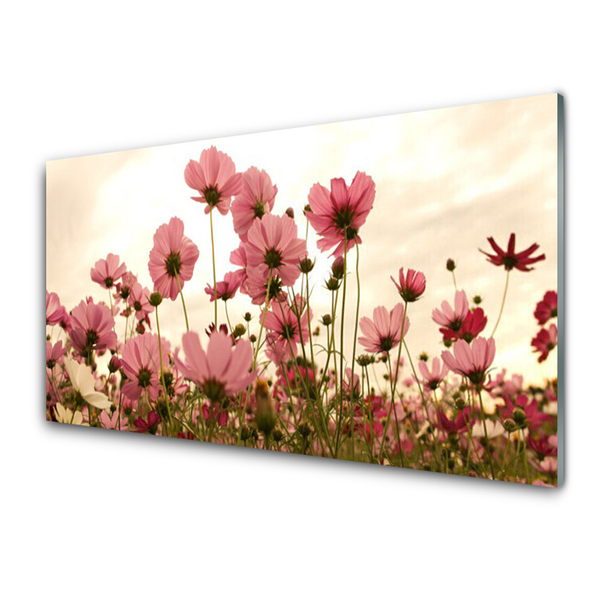 Glasbild Wildflowers Meadow Nature