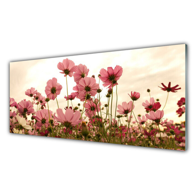 Glasbild Wildflowers Meadow Nature