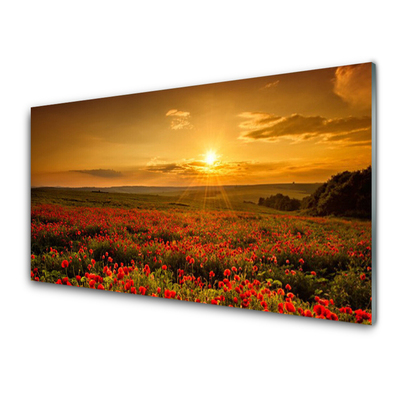 Glas bild Vallmofält Sunset Meadow