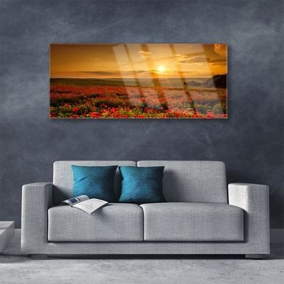 Glas bild Vallmofält Sunset Meadow