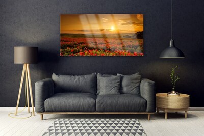Glas bild Vallmofält Sunset Meadow