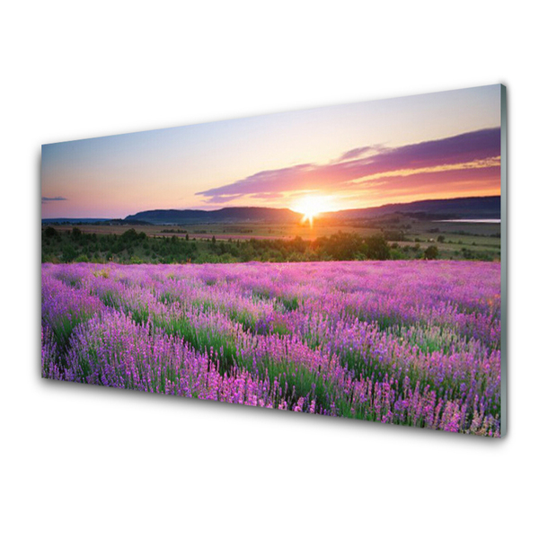 Glas tavla Lavender Fields Meadow West