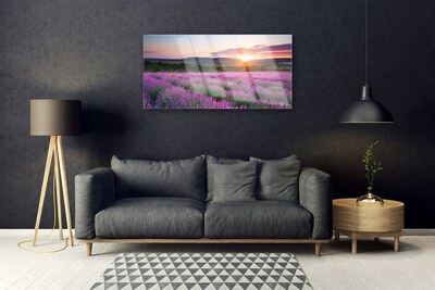 Glas tavla Lavender Fields Meadow West