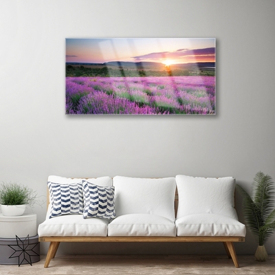 Glas tavla Lavender Fields Meadow West