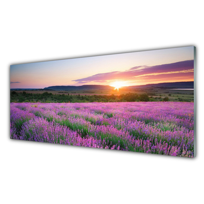 Glas tavla Lavender Fields Meadow West