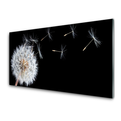 Glasbild Maskros Blommor Naturen