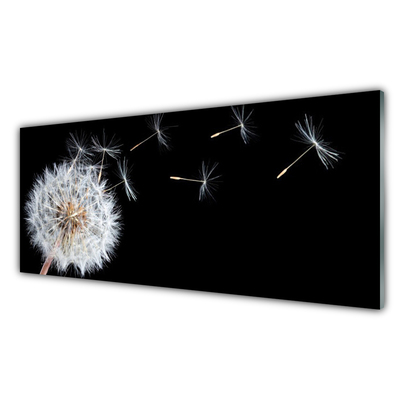 Glasbild Maskros Blommor Naturen