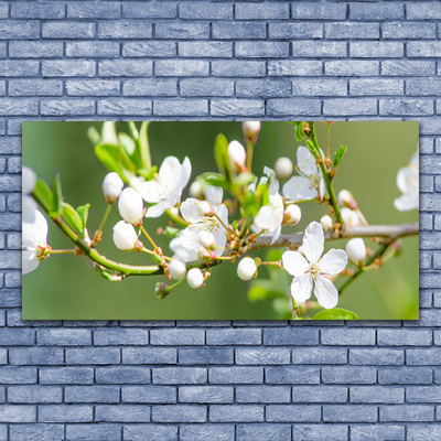 Glasbild Blommor Grenar Blad fruktträdgård