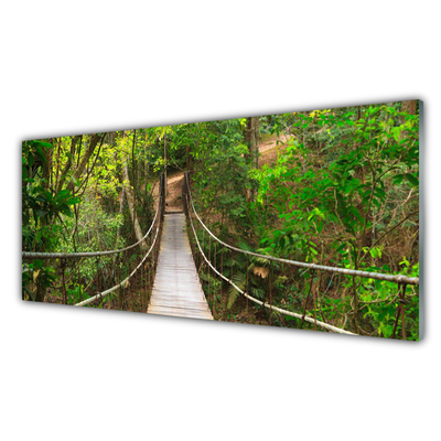 Fototryck på glas Jungle Tropical Forest Bridge