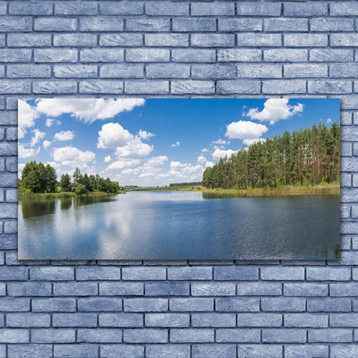 Fototryck på glas Lake Forest Landskap