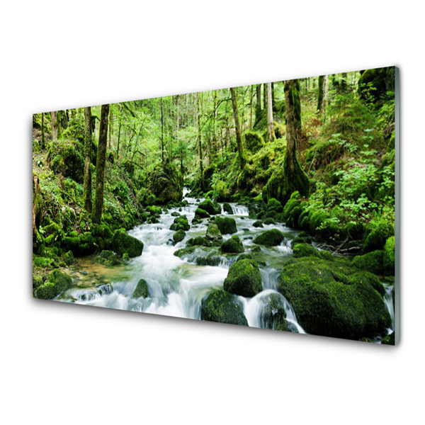 Glas bild Forest Potok Waterfalls River