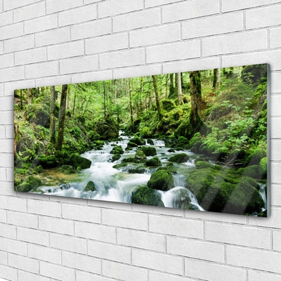 Glas bild Forest Potok Waterfalls River