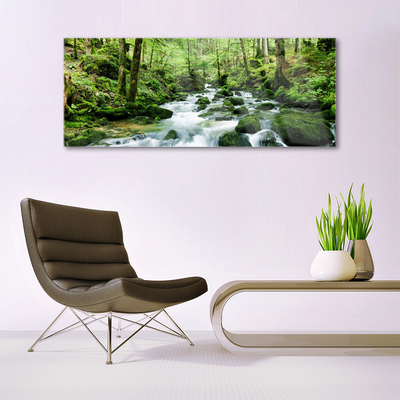 Glas bild Forest Potok Waterfalls River