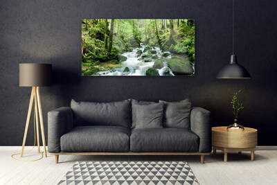 Glas bild Forest Potok Waterfalls River