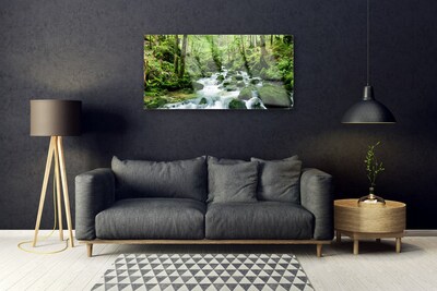 Glas bild Forest Potok Waterfalls River