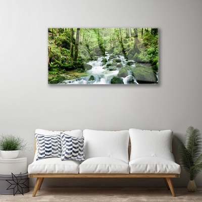 Glas bild Forest Potok Waterfalls River