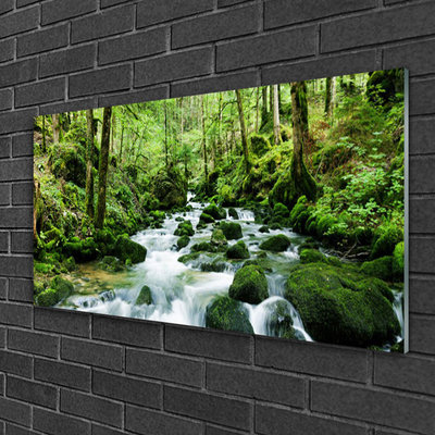 Glas bild Forest Potok Waterfalls River