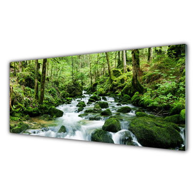 Glas bild Forest Potok Waterfalls River