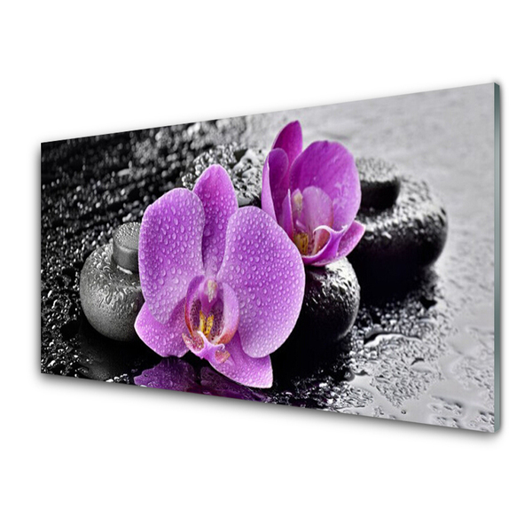 Glas bild Orchid Flowers Orchid Spa