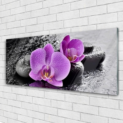 Glas bild Orchid Flowers Orchid Spa