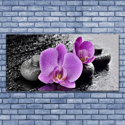 Glas bild Orchid Flowers Orchid Spa