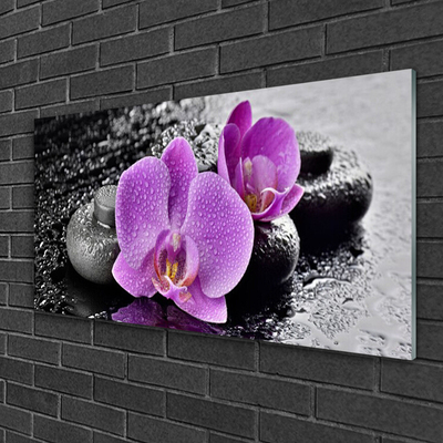 Glas bild Orchid Flowers Orchid Spa