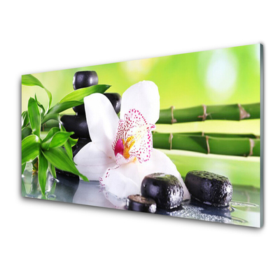 Glasbild Orkidé bambu blad