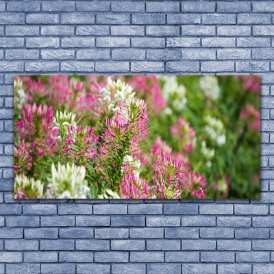 Glas bild Wildflowers Meadow Nature