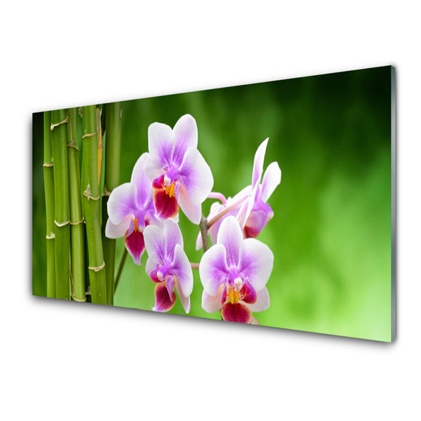 Glasbild Bambu Orchid Blommor Zen