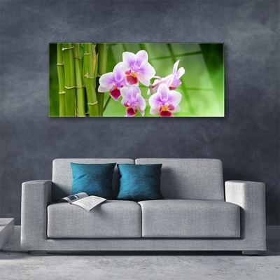 Glasbild Bambu Orchid Blommor Zen