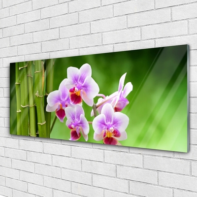 Glasbild Bambu Orchid Blommor Zen