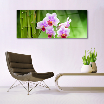 Glasbild Bambu Orchid Blommor Zen