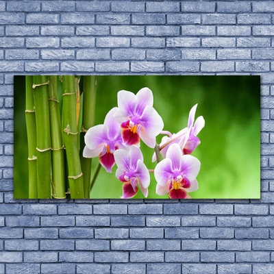 Glasbild Bambu Orchid Blommor Zen