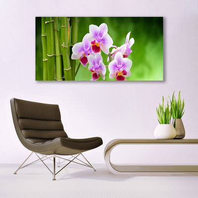 Glasbild Bambu Orchid Blommor Zen