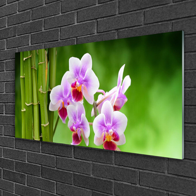 Glasbild Bambu Orchid Blommor Zen