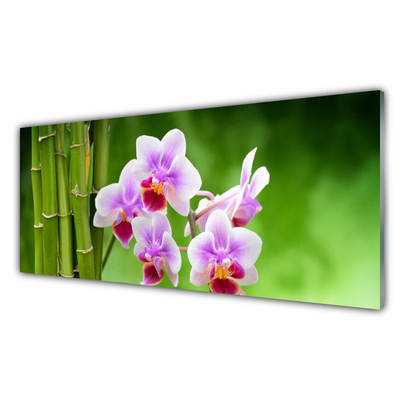 Glasbild Bambu Orchid Blommor Zen