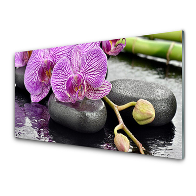 Glastavla Orchid Zen Orchid Spa