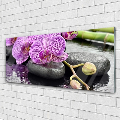 Glastavla Orchid Zen Orchid Spa